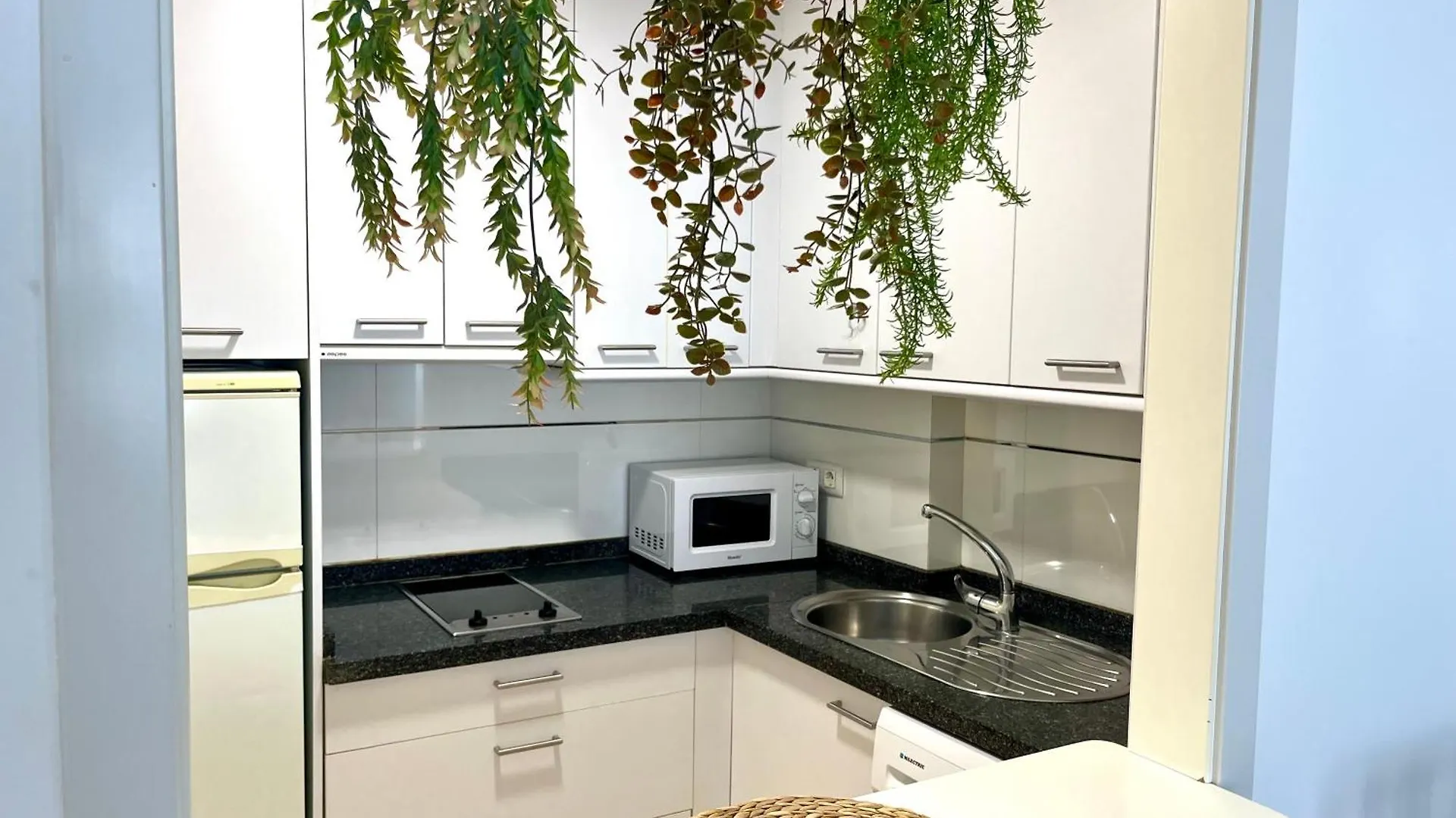 Puerta Al Mar Apartment Malaga 0*,